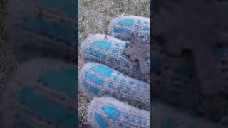 Такого еще не было  #shorts #крест #кладоискатели