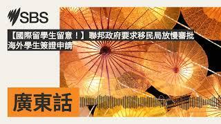 【國際留學生留意！】聯邦政府要求移民局放慢審批海外學生簽證申請 | SBS Cantonese - SBS廣東話節目