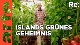 Das Gemüsewunder von Island | ARTE Re: