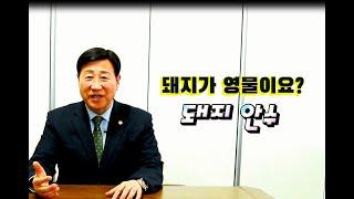 [장향희TV] 돼지가 영물이요?   돼지 안수/ 일산든든한교회 장향희목사