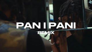 PAN I PANI (REMIX)