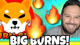 Shiba Inu Coin | Whale SHIB Burns! And How You Can Burn SHIB For Free!