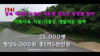 [번호 1341]경북 예천군 보문면 국도변 집짓고 농장할 임야 평당6천원