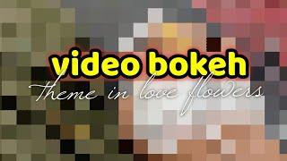 Video bokeh theme in love beautifull flowers outdoor full hd