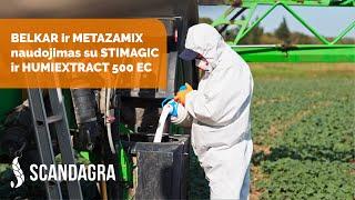 Kaip kartu su herbicidais naudoti skystąsias mikroelementines trąšas Stimagic ir Humiextract?