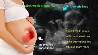 30 Weeks Pregnant: Know the Fetal Changes in 30th Week Pregnancy