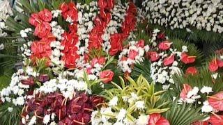 Dangwa Flower Market Manila! More Affordable Flowers!