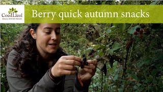 Berry quick autumn snacks | Coed Lleol (Small Woods Wales)