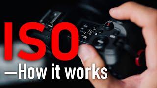 Understand Camera ISO in 2 MINUTES!