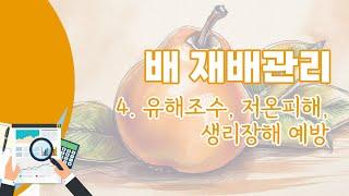 [영농기술] 배 재배관리 4. 유해조수, 저온피해, 생리장해 예방