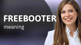 Freebooter | what is FREEBOOTER definition