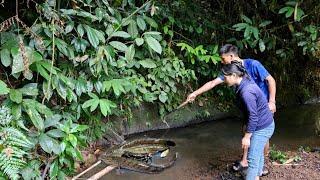 Daily life, discovering big fish and happily catching fish together - lythiduyen