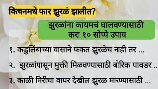 झुरळांना कायमचं घालवण्यासाठी करा १० सोप्पे उपाय #kitchentipsandtricksinmarathi