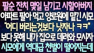 (반전 사연) 팔순 잔치 몇일 남기고 시할아버지 아파트 팔아 먹고 양로원에 맡긴 시모 보다 못해 내가 집으로 데려와 모시자 시모에게 역대급 천벌이 떨어지는데/사이다사연/라디오드라마