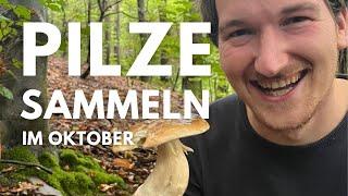 Pilze sammeln im Oktober 2024 - Die Steinpilze sind da (und viele andere Arten)