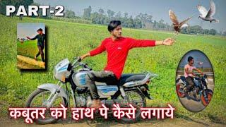 Kabutar Ko Bike Ki Saath Kese Trend Kre ️ || How To Trend Pigeon With Bike ️