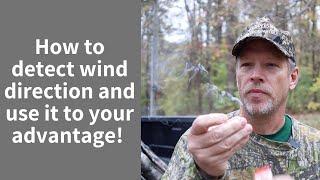 DEER HUNTING: Wind detection and why it is important!