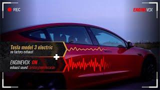 Electronic active sound exhaust system Tesla model 3 electric #ENGINEVOX