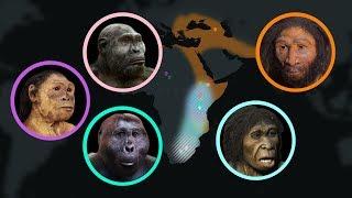 Seven Million Years of Human Evolution #datavisualization