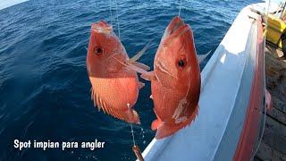 mancing di spot kaya gini pasti gak mau pulang!