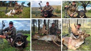 2024 highlights (Bowhunting Australia)