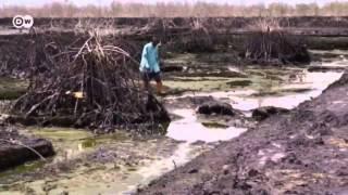 Nigeria: Oil pollution in the Niger Delta | Global 3000