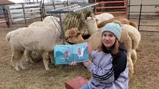 Reading "That Alpaca Ate My Cracker!" with the alpacas