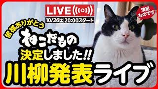 【ライブ記録】ねこだもの川柳 採用発表ライブ