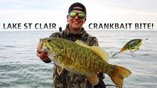 Lake St Clair Spring Fishing - 59 Bass on Crankbaits & Baby Tubes!