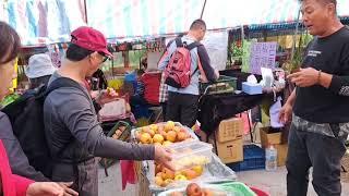 台灣真行   （自駕一日遊到底能去哪裡?今天旅遊日記再次更新。）