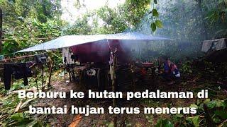 Camping berburu 4 hari 3 malam di hutan pedalaman Kalimantan