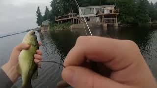 beaver lake tamworth evening fish.