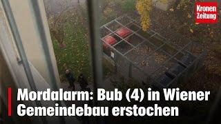 Mordalarm: Bub (4) in Wiener Gemeindebau erstochen | krone.tv NEWS