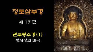 [정토삼부경] 17.  - 관무량수경(1) / 왕사성의 비극