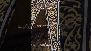 Surah Ar-Ra'd Ayat 14-15 Urdu Translation #shorts