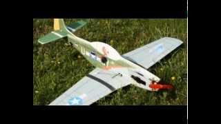 TechOne Hobby EPP Warbirds P51D