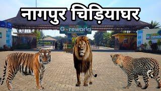 Balasaheb Thackeray Gorewada International Zoological Park | नागपुर चिड़ियाघर | Nagpur Maharashtra