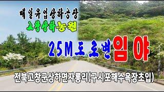 [23-084]전북상하면/고창상하농원/매일유업상하공장/구시포해수욕장/진암구시포도로변/개발용임야~