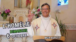 Homélie de Mgr Aupetit - dimanche 6 oct 24