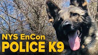 NYS EnCon Police K9