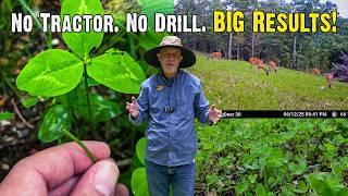 Growing Clover in Rocky Soil: Do’s and Don’ts