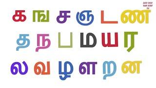 #3 தமிழ் | உயிர் மெய் எழுத்துக்கள் | க ங ச ஞ ட ண த ந ப ம ய ர வ ல ழ ள ற ன