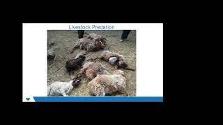 SLN Webinar - Snow Leopard Conservation in Wakhan, Afghanistan