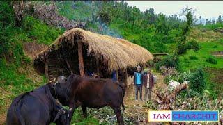 Beautifull Nepali Himalayan Pastoral Shephard People Living Lifestyle|Organic Shepherd Food Kitchen|