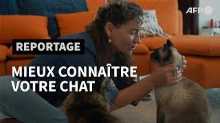 Journée internationale du chat: Briganne Carter, comportementaliste félin | AFP