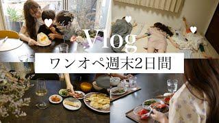 【週末ワンオペ2日間】頑張らない…アラフォー兄弟ママVlog#114 セリア購入品も