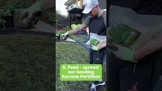 Full lawn transformation!