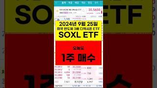 3배 ETF 1주 매수 미국반도체 디렉시온 SOXL