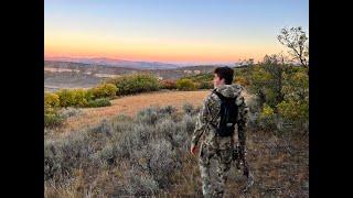 A Hunter's Paradise bordering 2,000 acres of BLM land!