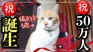 猫武将チャチャうちの子記念＆祝50万人記念ライブ